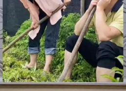 吃瓜群众的娱乐八卦,明星秘闻大揭秘