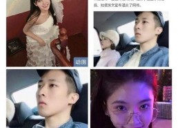 娱乐圈吃瓜猪头